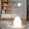LUMIOVA – Elegant Oval Table Lamp