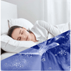 HomeClean – Kabelloser Staubsauger und Bügeleisen mit HEPA-Filter zur Allergenentfernung und für den leichten Gebrauch 7