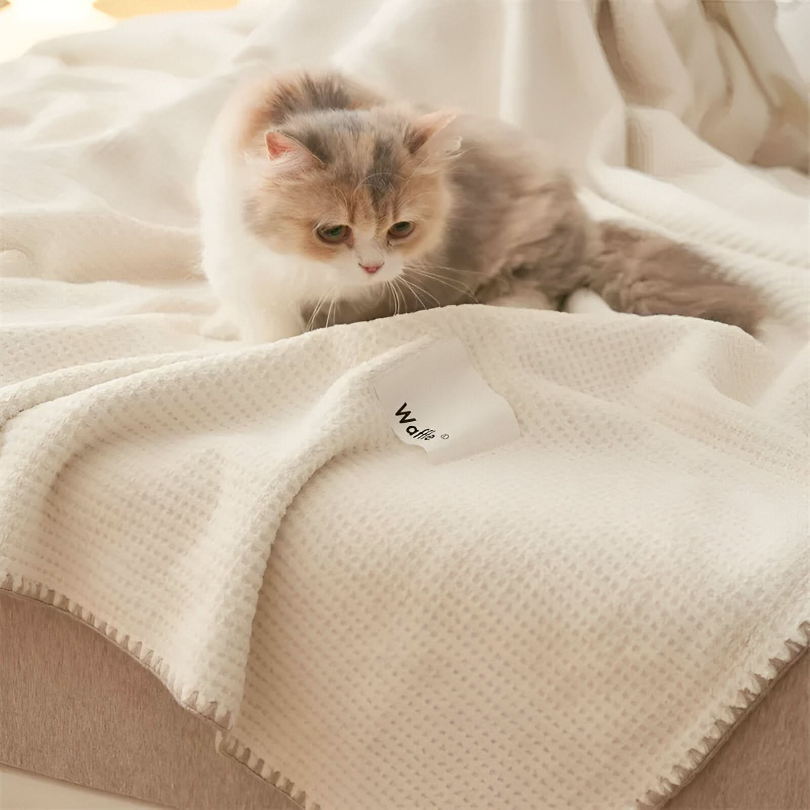 VELVETUNE - Premium Fleece Blanket