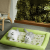 ICEBUDDY – Kühlendes Hundebett für kleine und mittelgroße Hunde 3