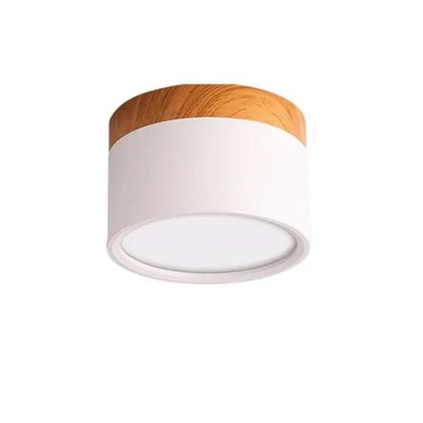 LumiNord – Modern Dimmable LED Ceiling Light in Nordic Design