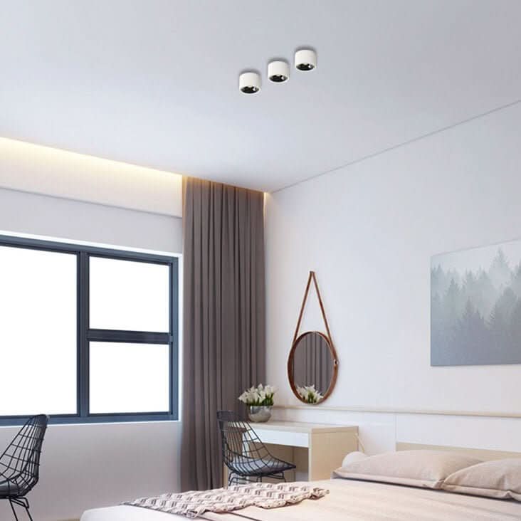Lumikreis – Minimalist LED Ceiling Light With Adjustable Spotlight