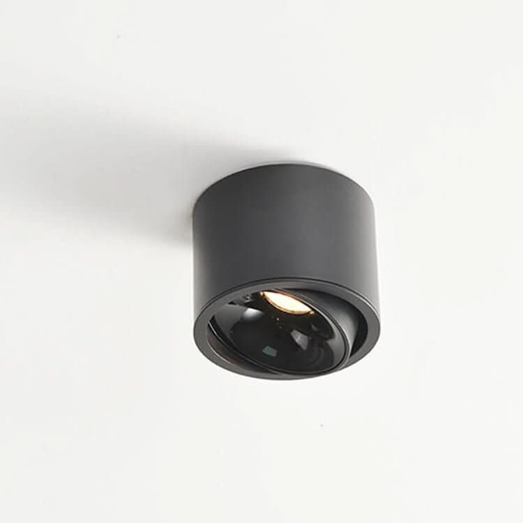 Lumikreis – Minimalist LED Ceiling Light With Adjustable Spotlight