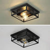 ELVIANA – Modern Ceiling Light