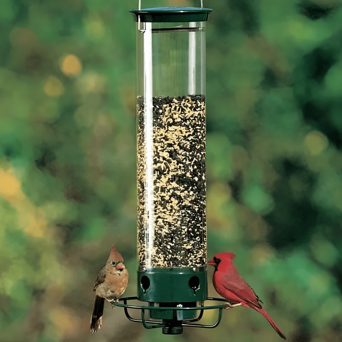 Nährschutz – Squirrel-Proof Bird Feeder with Weight-Activated Dispenser