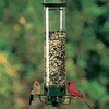 Nährschutz – Squirrel-Proof Bird Feeder with Weight-Activated Dispenser