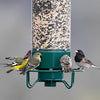 Nährschutz – Squirrel-Proof Bird Feeder with Weight-Activated Dispenser