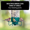 Nährschutz – Squirrel-Proof Bird Feeder with Weight-Activated Dispenser