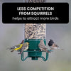 Nährschutz – Squirrel-Proof Bird Feeder with Weight-Activated Dispenser