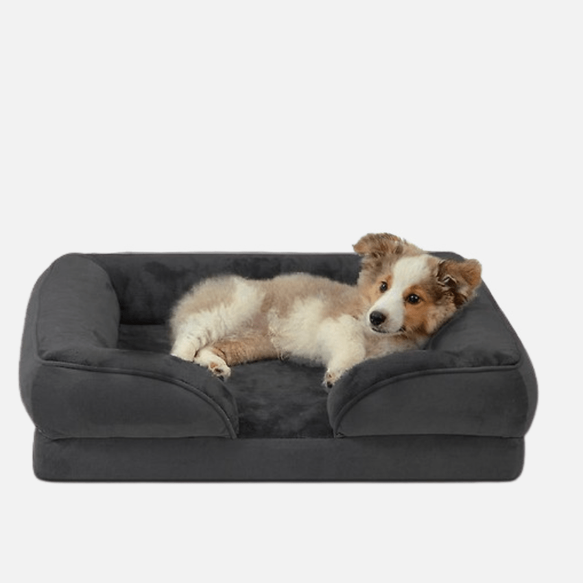 Ortholuxe Hundebett