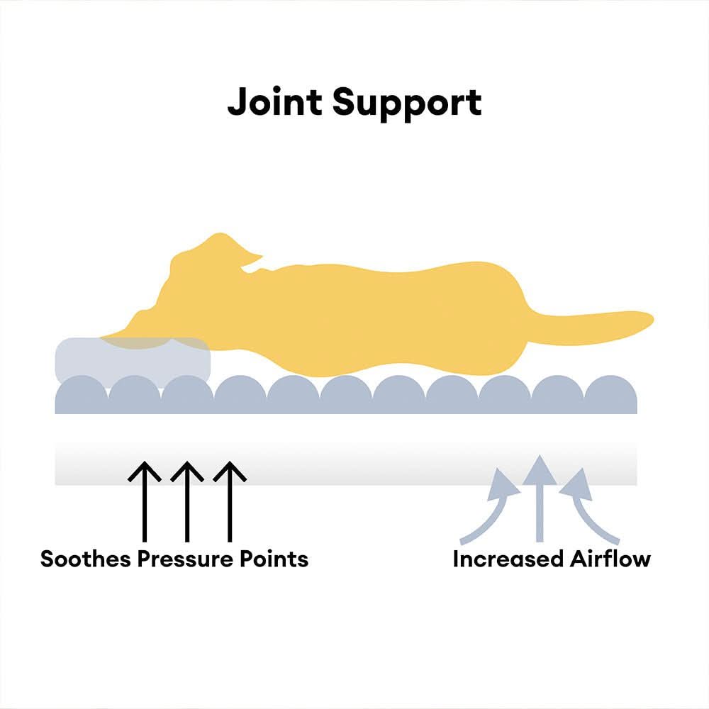 Sleep Dream Orthopedic Dog Bed – Joint-Friendly Dog Cushion with Headrest & Plush Cover