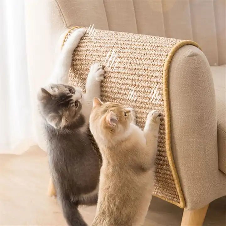 PAWPERCH – Robuster Katzenkratzbaum für glückliche und aktive Katzen 2
