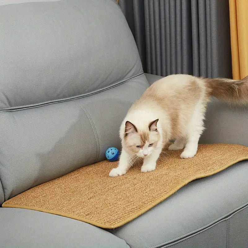 PAWPERCH – Robuster Katzenkratzbaum für glückliche und aktive Katzen 3