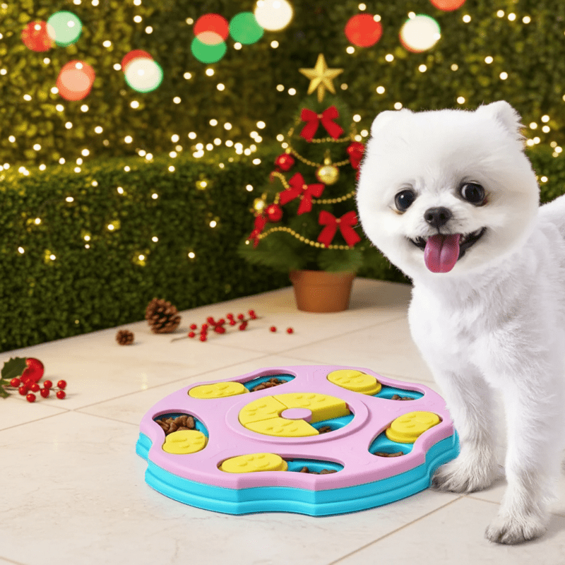 PAWQUEST PUZZLER – Langsames Futterspielzeug zur geistigen Anregung und für intelligentes Spielen 1