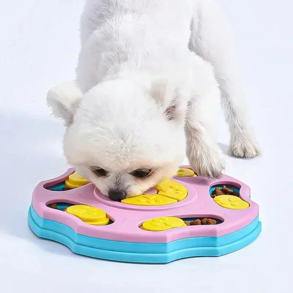 PAWQUEST PUZZLER – Langsames Futterspielzeug zur geistigen Anregung und für intelligentes Spielen 5