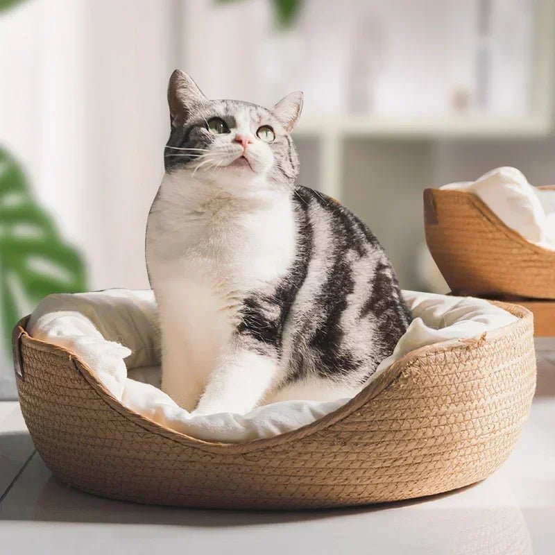 PETRABED – Handgewebtes Katzenbett aus Bambus für Komfort im Haus 2
