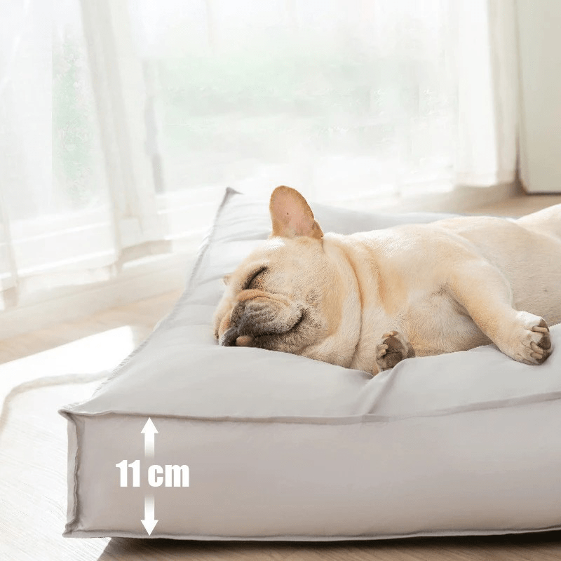 Paw Comfort – Orthopedic Dog Bed Washable, Made of Memory Foam, Waterproof and Scratch-Resistant