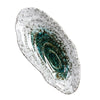 Seafina – Shell-Shaped Ceramic Dinnerware for Sushi & Appetizers