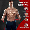 Resistance Bands – Resistance Loop Set for Versatile Strength Training