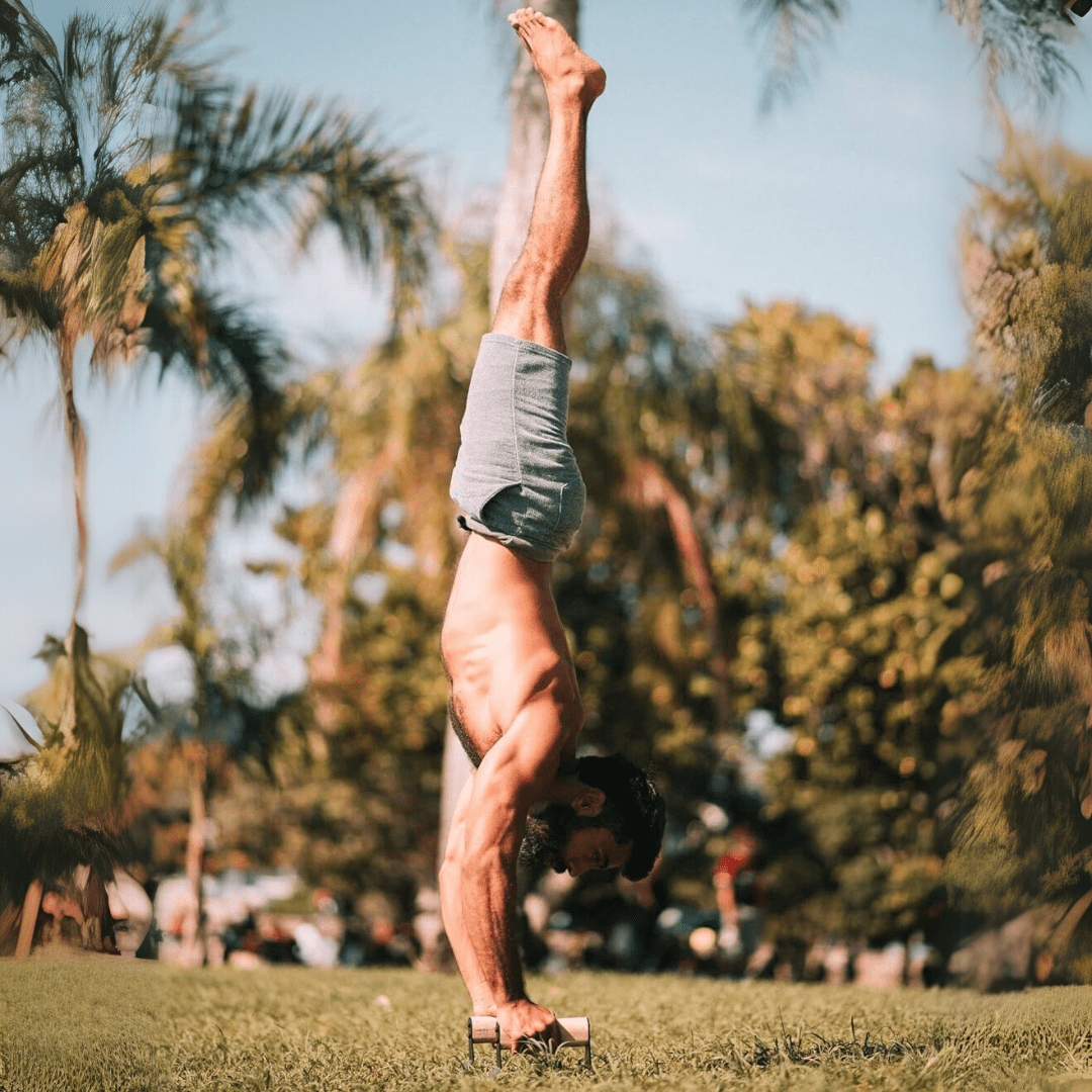 Power Grip – Ergonomic Wooden Parallettes For Safe Push-Up Training