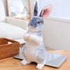 REALBUN – 20 cm großes, lebensechtes Plüschkaninchen für Wohndekoration und als Geschenk 1