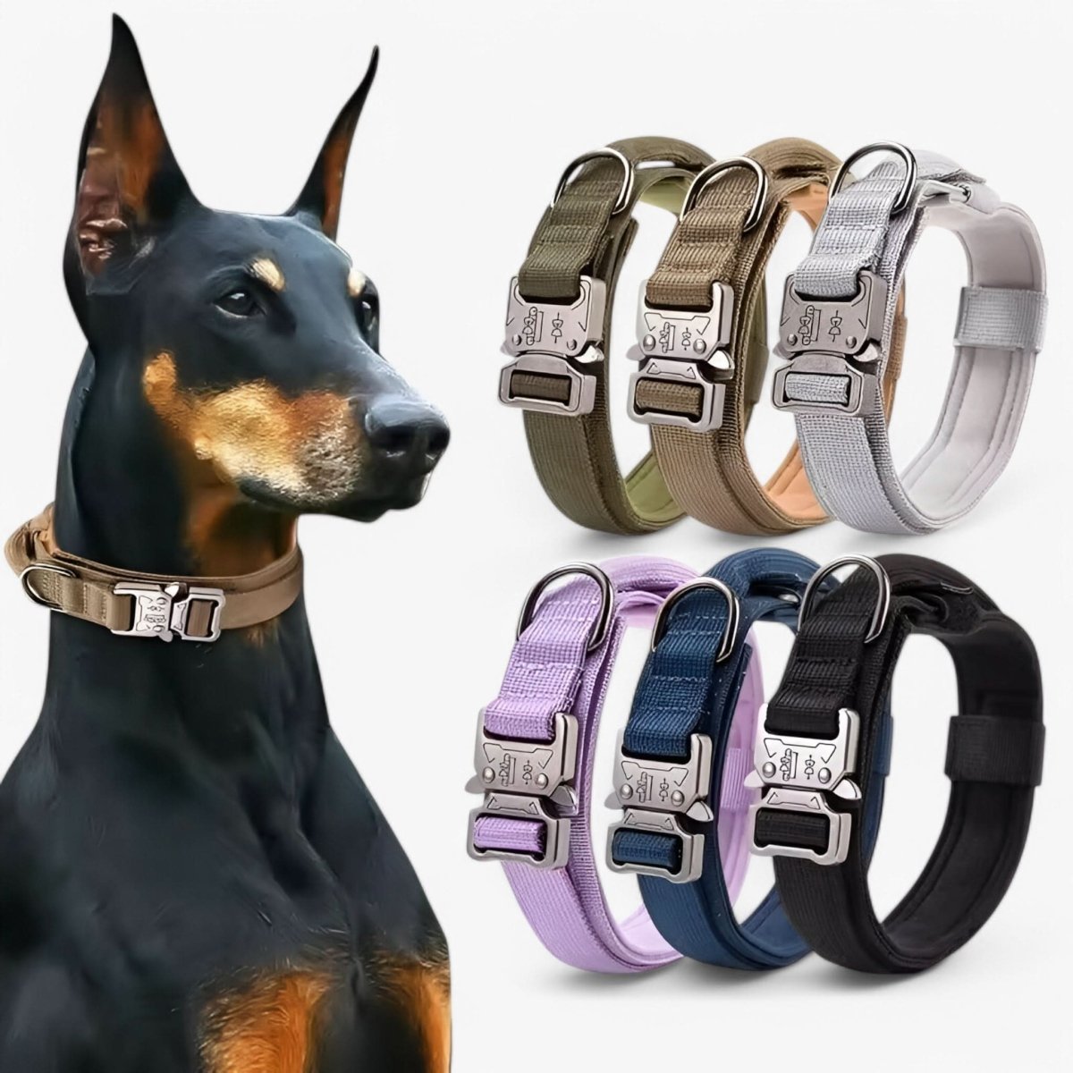 TacticalK9 Hundehalsband Set – Robustes & Komfortables Design für jedes Abenteuer-2
