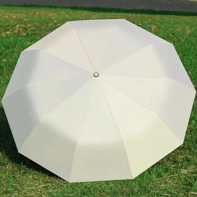 RainWatcher – Automatic Umbrella With Wind and UV Protection