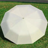 RainWatcher – Automatic Umbrella With Wind and UV Protection