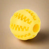 ChewFun Intelligence Ball – For Healthy Teeth & Smart Minds