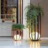 Kassia Illuminated Harmony Planters