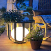 Kassia Illuminated Harmony Planters