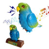 Chatterbox – Interactive Parrot that Repeats Everything