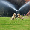 AQUAS - Garden Sprinkler