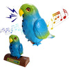 Chatterbox – Interactive Parrot that Repeats Everything