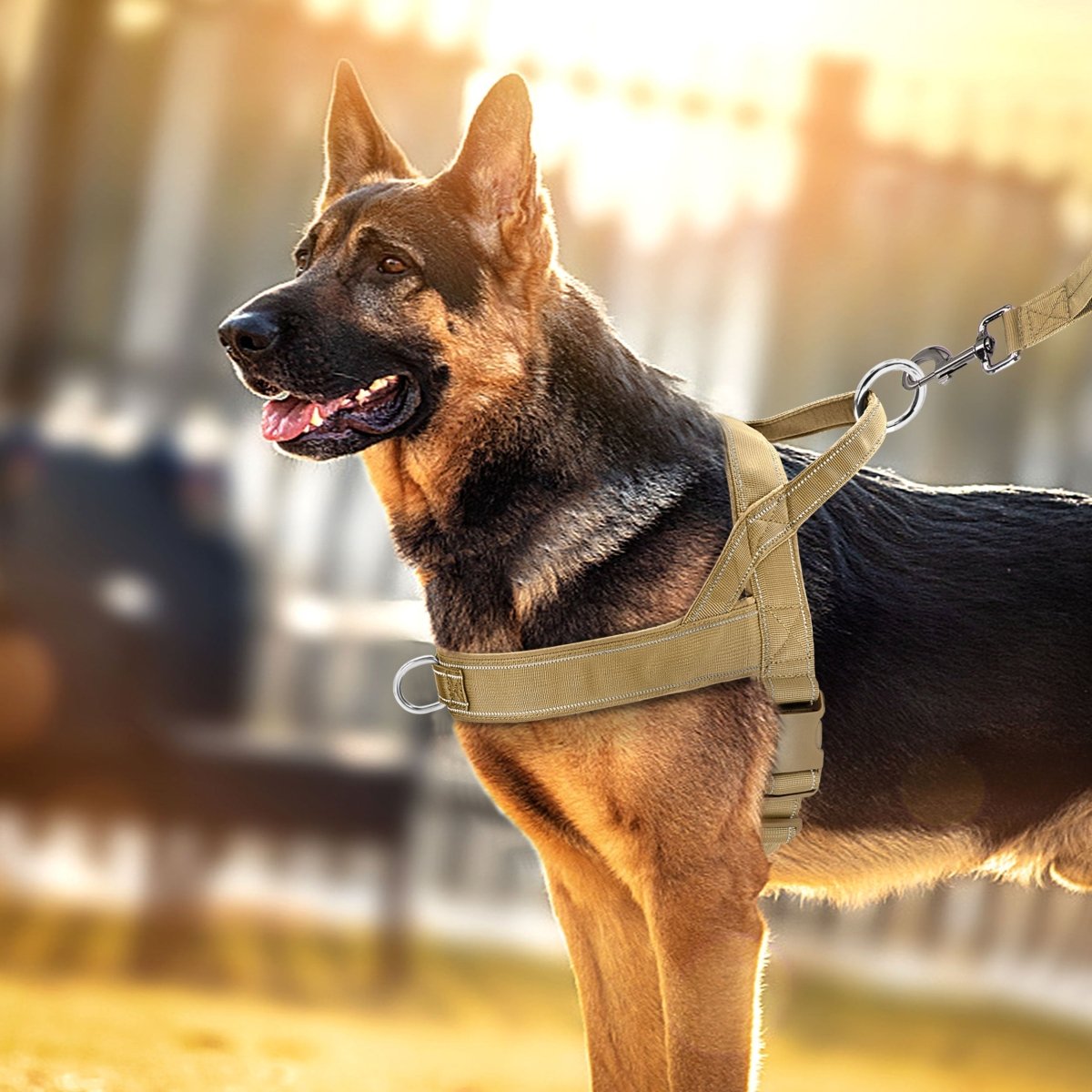 SAFEPULL – Reflektierendes Anti-Zug-Hundegeschirr für sichere Kontrolle 1