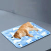 Cool Paws – Cooling Mat for Dogs and Cats