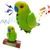Chatterbox – Interactive Parrot that Repeats Everything