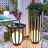 Kassia Illuminated Harmony Planters