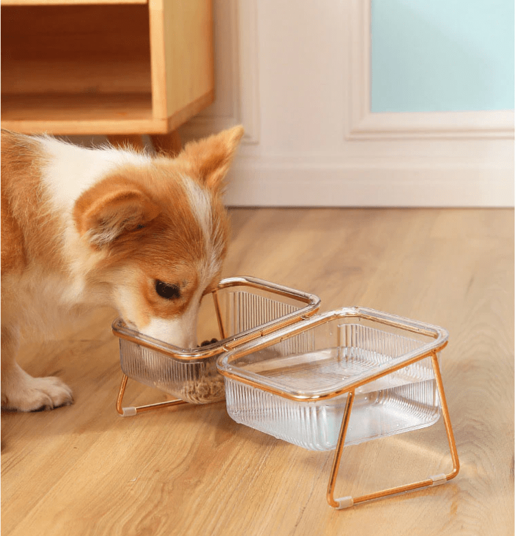 PETCHIC – Raised Food Bowl for Healthy Eating Posture in Cats & Small Dogs