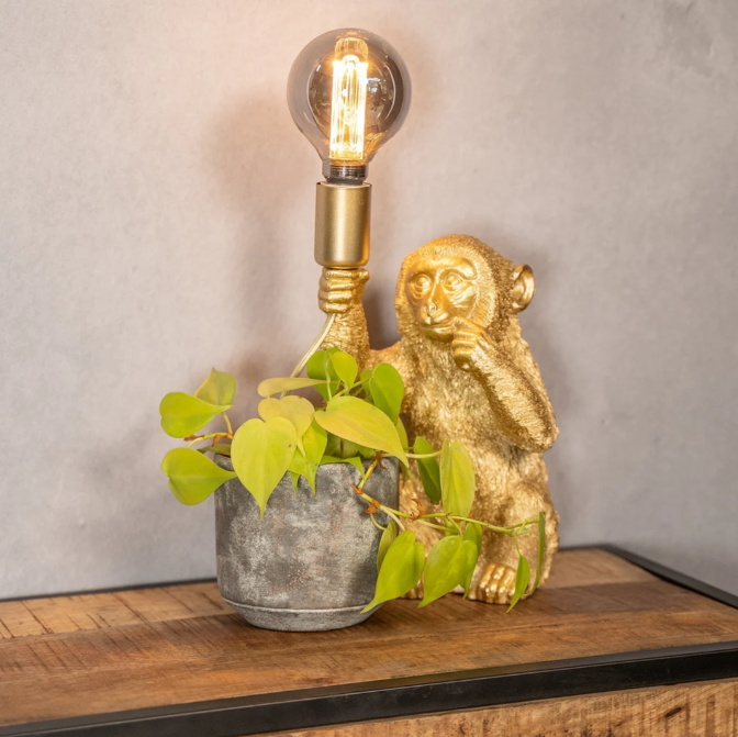 Elegante Goldene Affe Blumentop Lampe