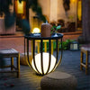 Kassia Illuminated Harmony Planters
