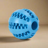 ChewFun Intelligence Ball – For Healthy Teeth & Smart Minds