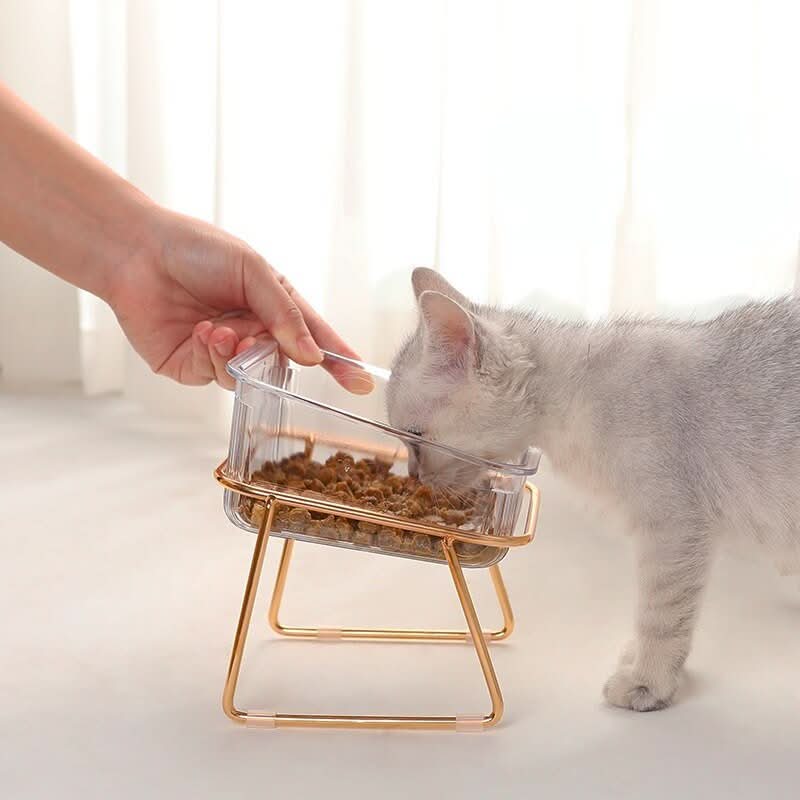 PETCHIC – Raised Food Bowl for Healthy Eating Posture in Cats & Small Dogs