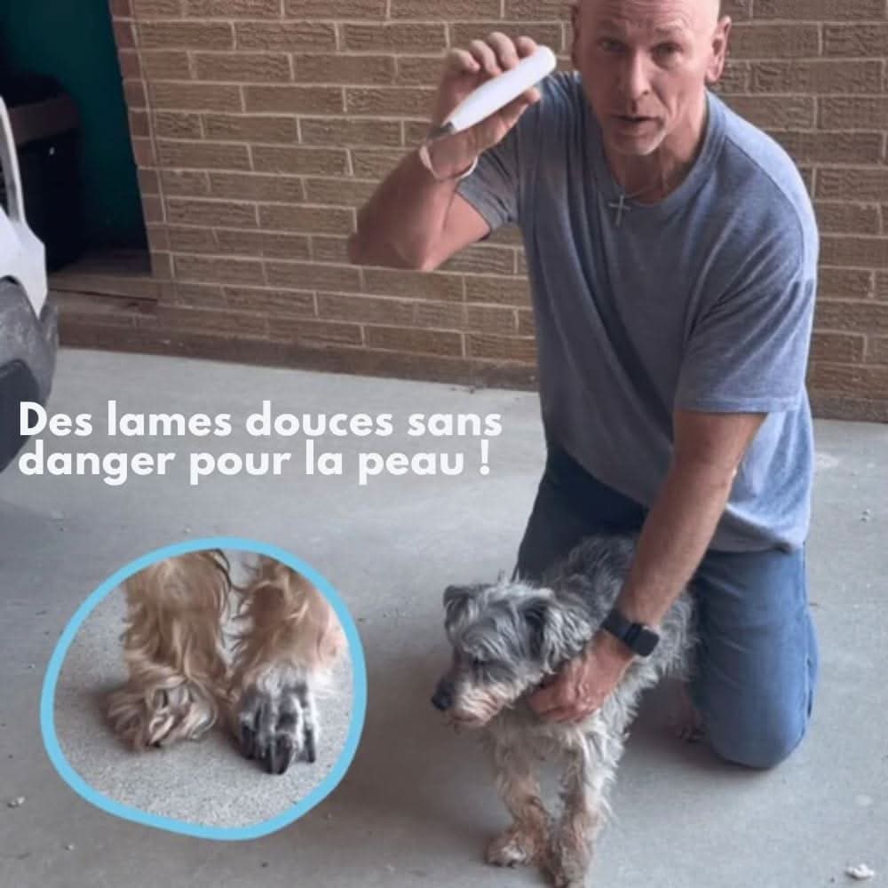LeiseTier Haarschneider – Geräuscharmer Fellschneider Für Empfindliche Zonen Bei Hund & Katze