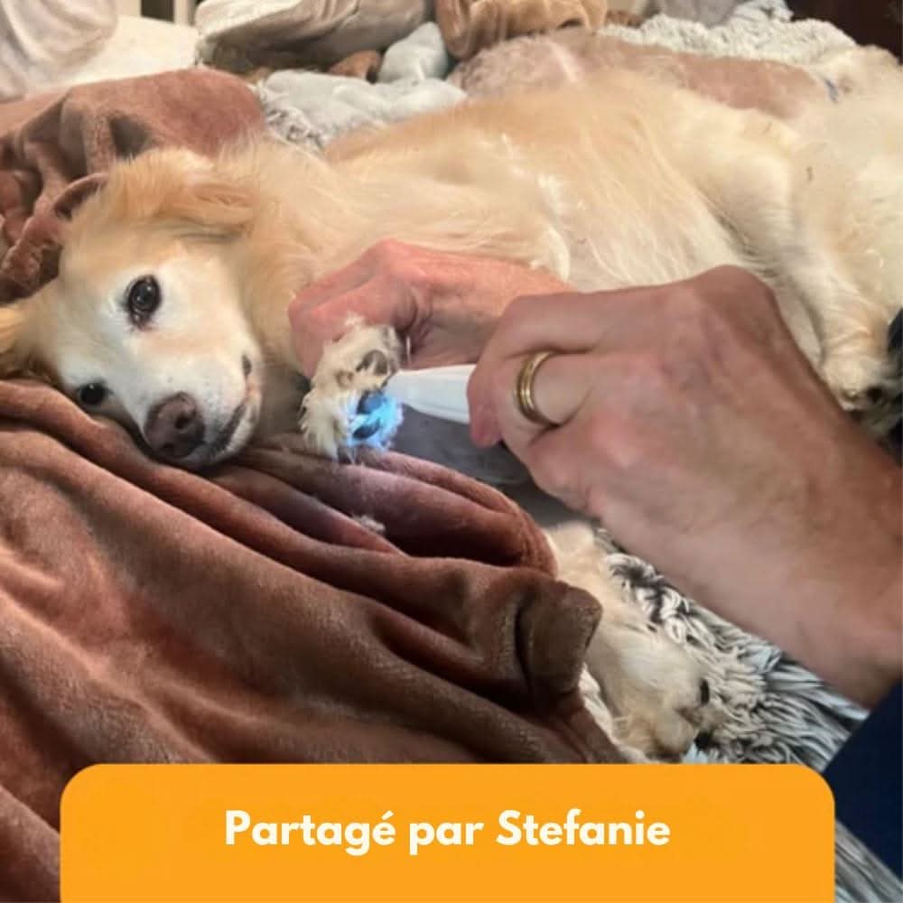 LeiseTier Haarschneider – Geräuscharmer Fellschneider Für Empfindliche Zonen Bei Hund & Katze