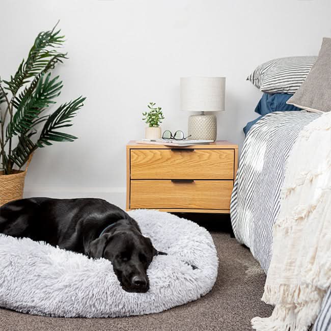 FUZZYPLUSH – Orthopedic Plush Dog Bed For Deep Sleep