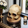 Sutura - Gothic Skull Knife Holder