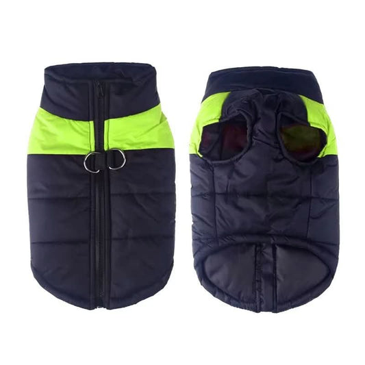 Tail Warmth – Winter Jacket For Dogs With Protection & Comfort
