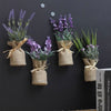 MAGNALEAF - Magnetic Mini Planters