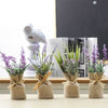 MAGNALEAF - Magnetic Mini Planters